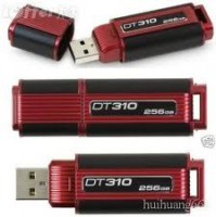 Flash pen usb 256 GB (ESGOTADO)